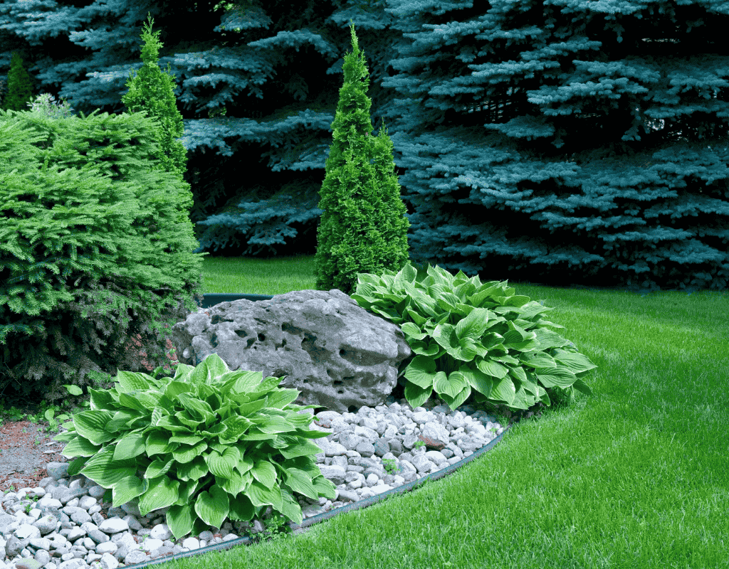 Lush garden bed example of landscaping services by Gardens of Eden in Key West FL